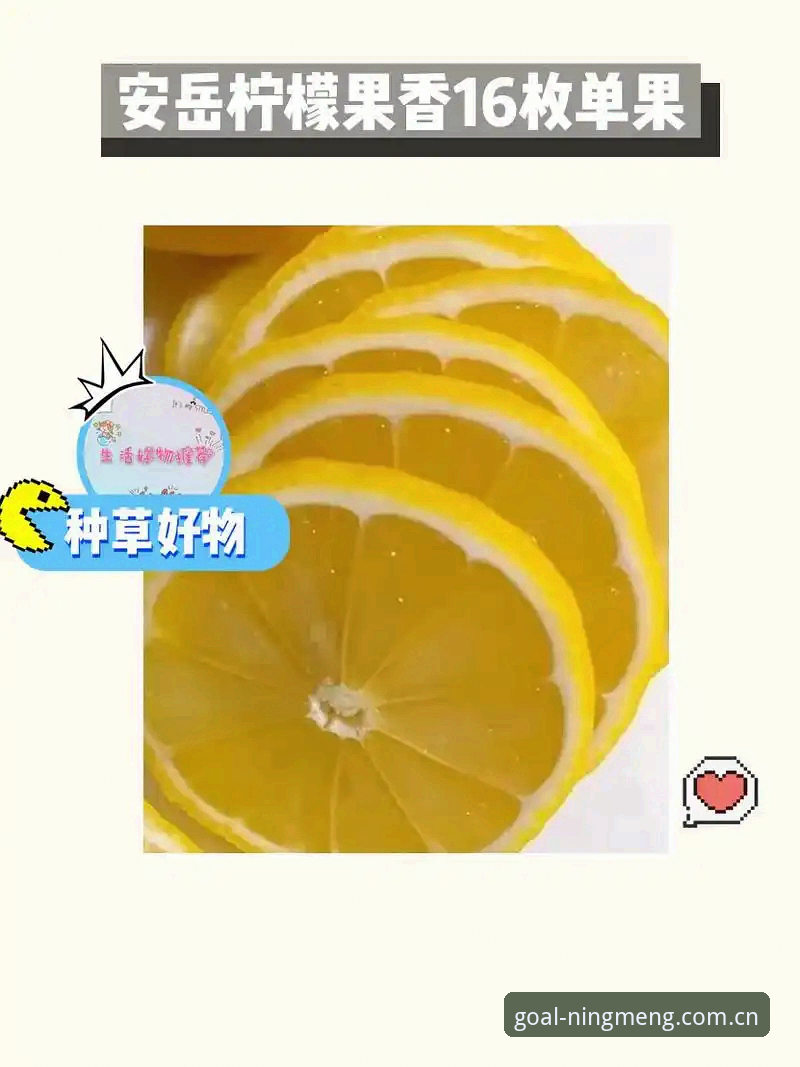 柠檬体育直播主站更新日志完整使用指南｜老用户教你看懂每次改动